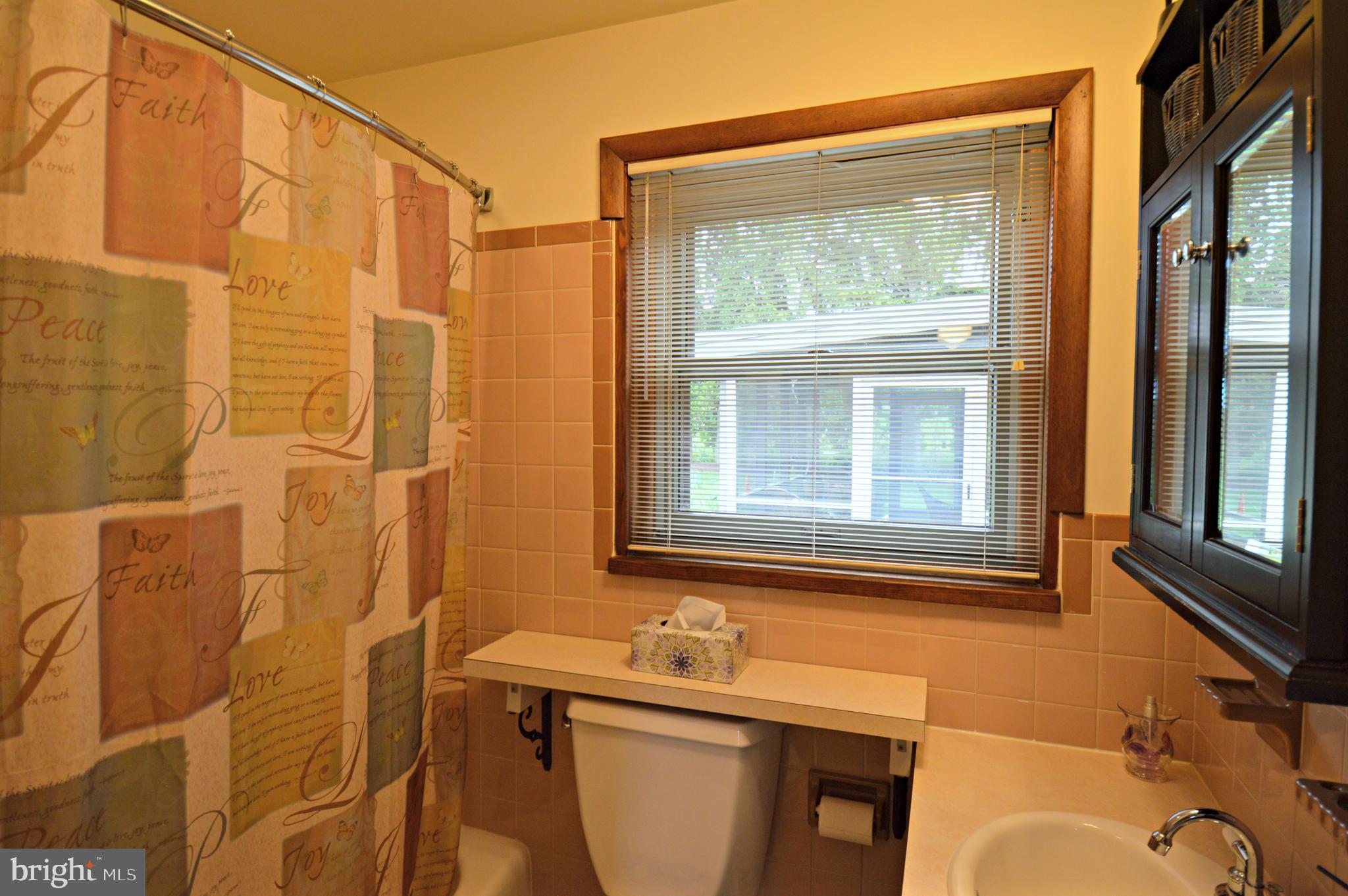 49 Oberholtzer Road Elizabethtown, PA 17022 - Photo 18 of 36 Private bath in BR#1 / Master BR