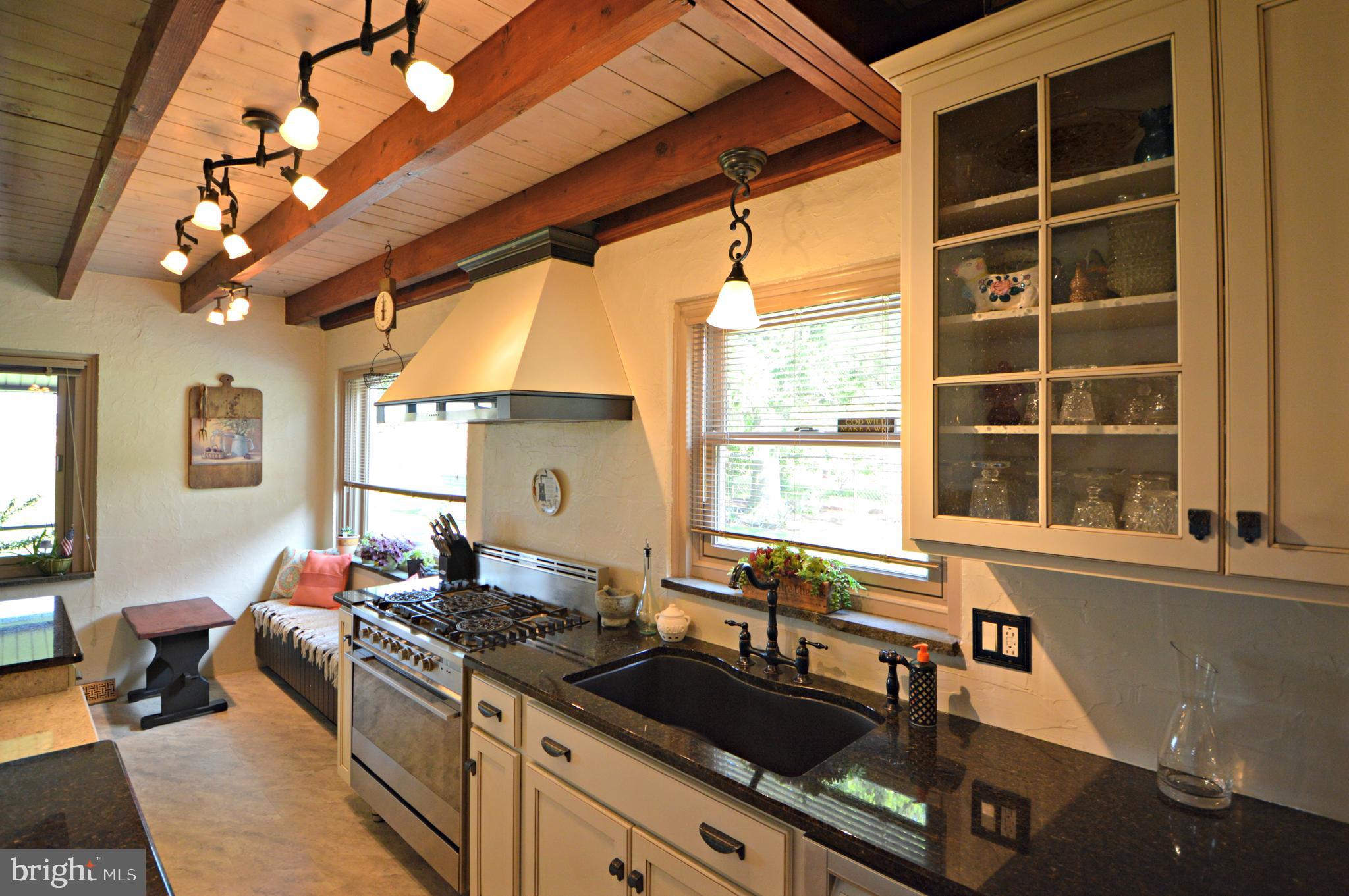 49 Oberholtzer Road Elizabethtown, PA 17022 - Photo 7 of 36 Granite & Quartz Counters! Cool ceiling & lights!