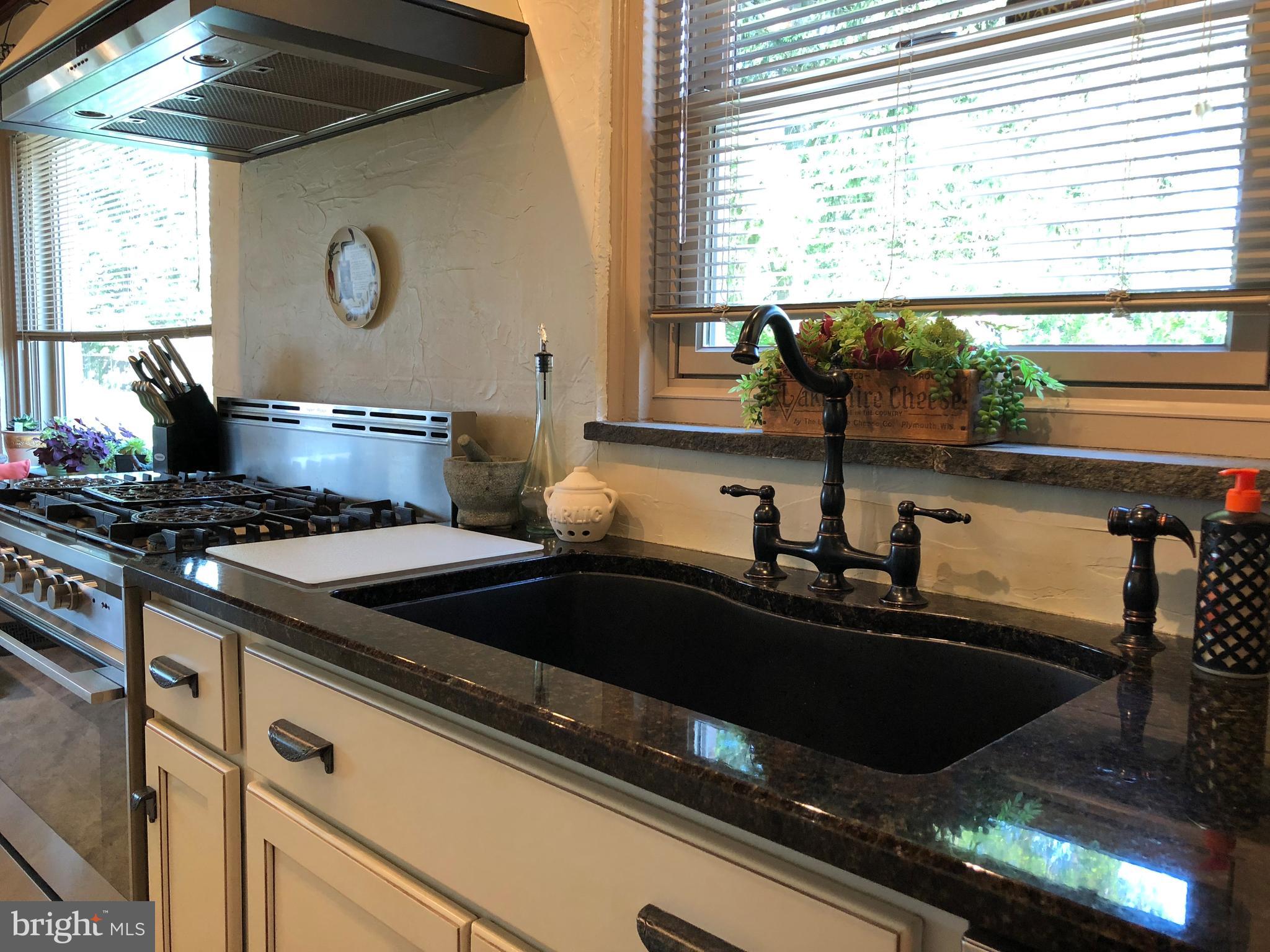 49 Oberholtzer Road Elizabethtown, PA 17022 - Photo 8 of 36 Close up of kitchen sink