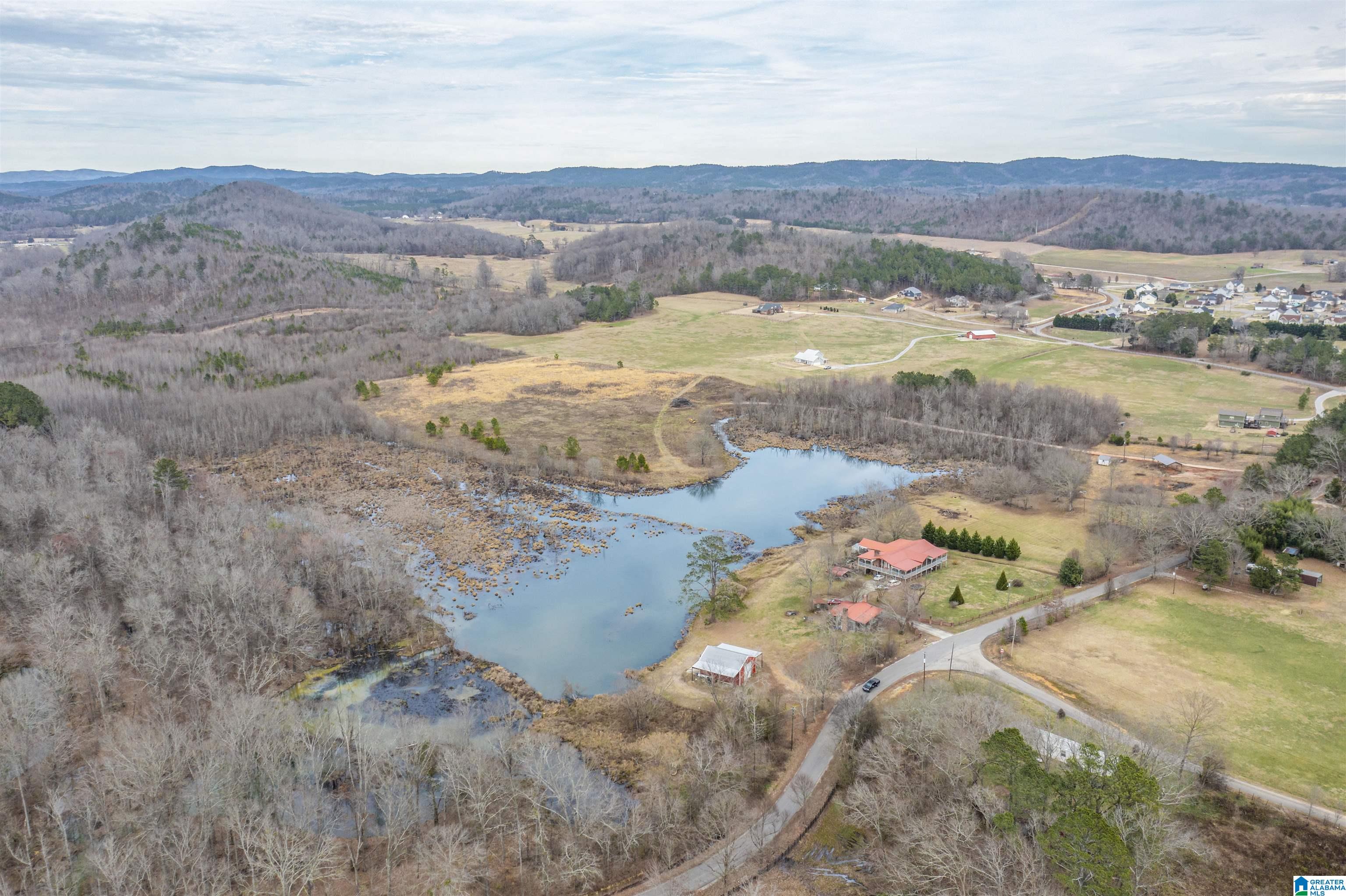 1619 Old Downing Ml Road, Unit 40 03 ACRES Anniston, AL 36207 - Photo 14 of 29