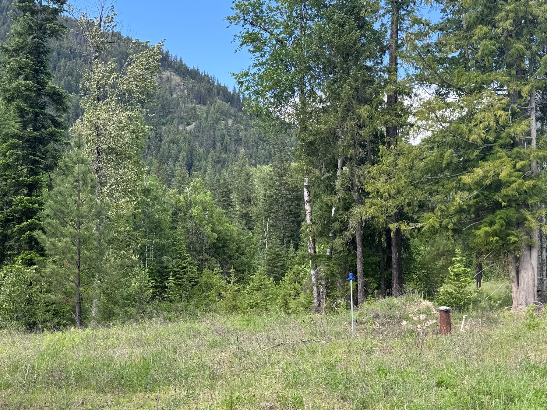 189 Blue Creek Road Heron, MT 59844 - Photo 74 of 83 Gallery Image 74