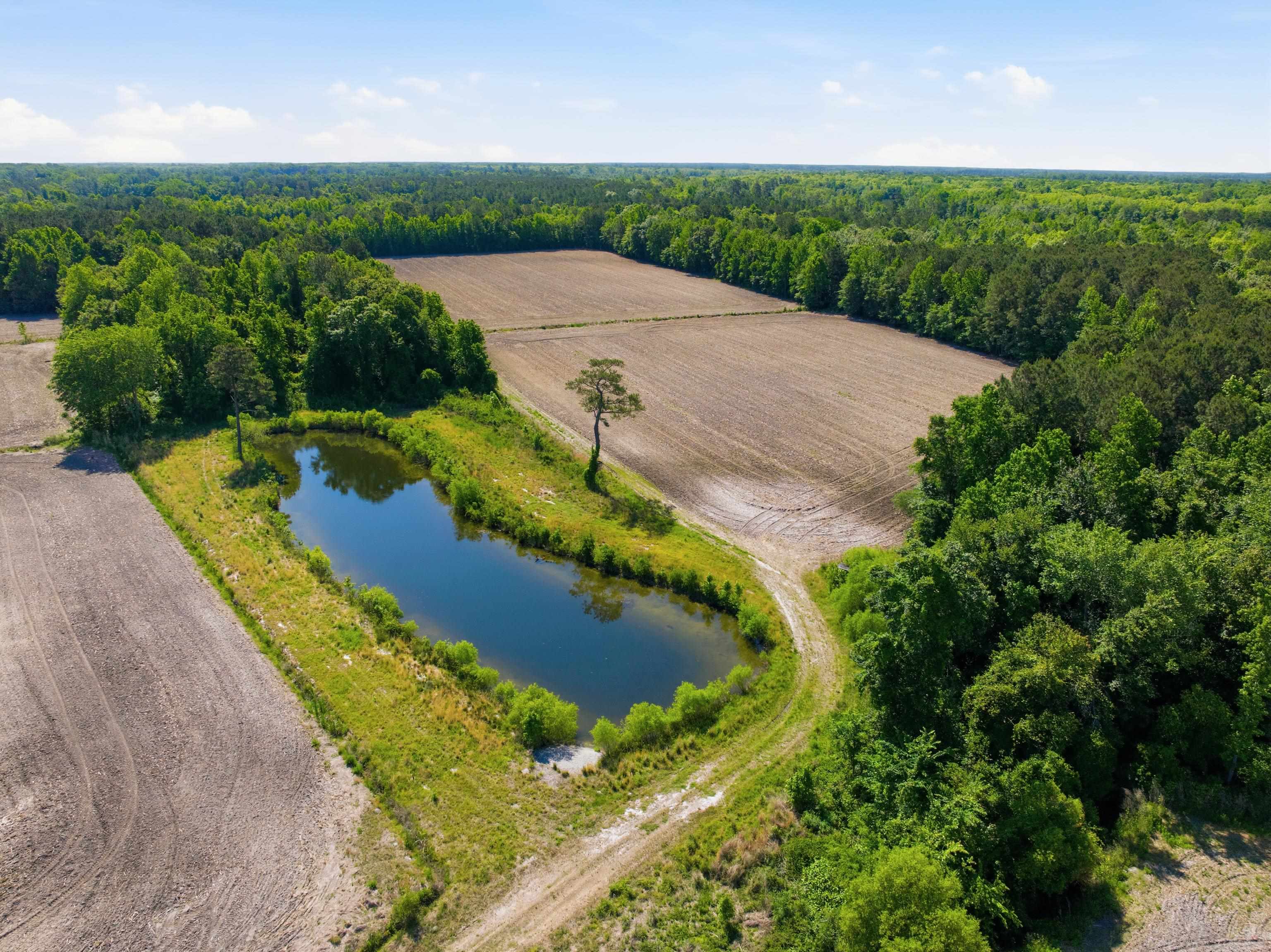 9475 Lake Swamp Road Nichols, SC 29581 - Photo 8 of 36