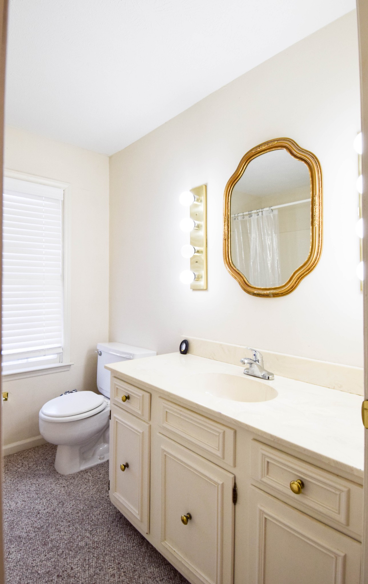 1059 Robertson Road Gallatin, TN 37066 - Photo 56 of 84 a bathroom with a toilet a sink a mirror and a window