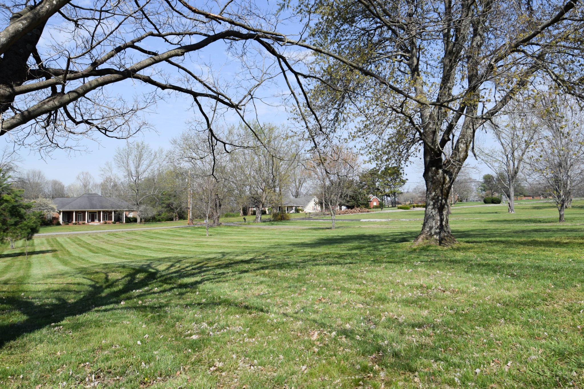 1059 Robertson Road Gallatin, TN 37066 - Photo 8 of 84 a big yard with lots of green space and palm tree