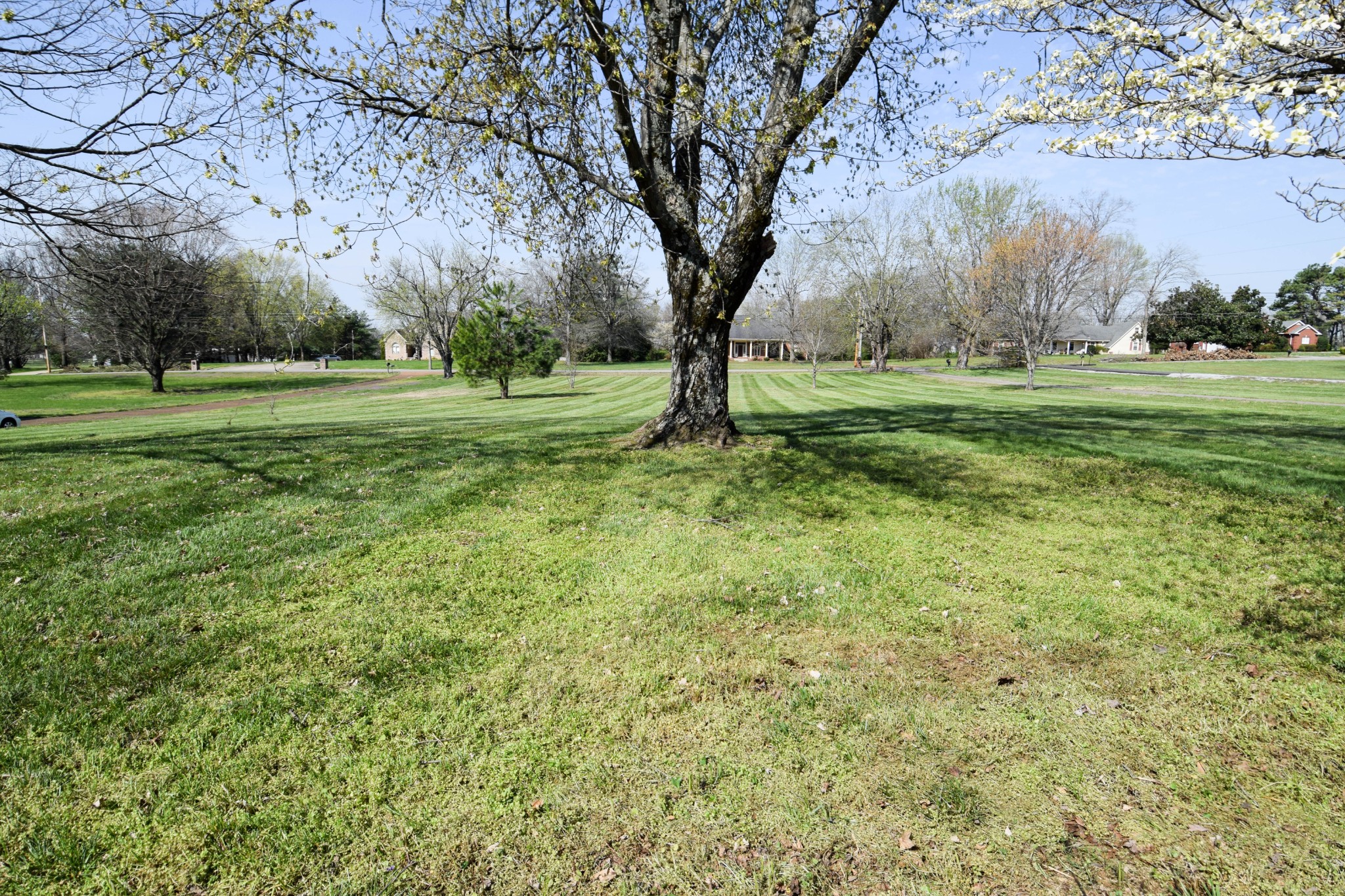 1059 Robertson Road Gallatin, TN 37066 - Photo 9 of 84 a view of grassy field with benches