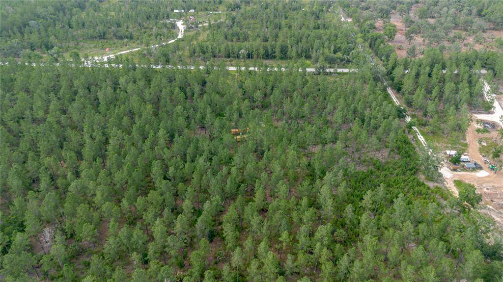 Northeast 90th Street Road Fort McCoy, FL 32134 - Photo 9 of 25