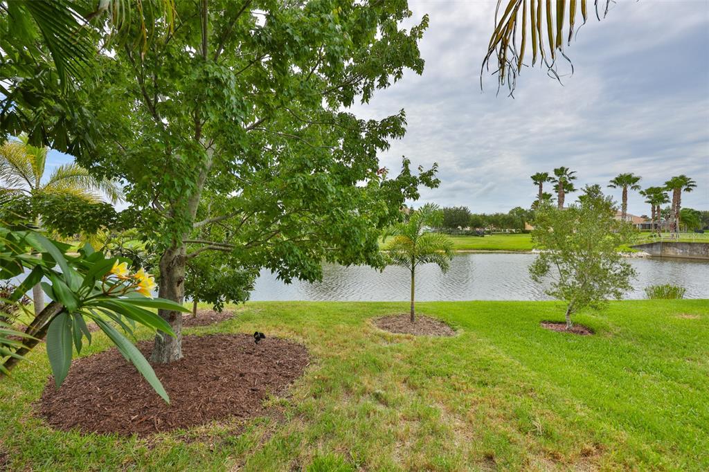 5305 Moon Shell Drive Apollo Beach, FL 33572 - Photo 42 of 62