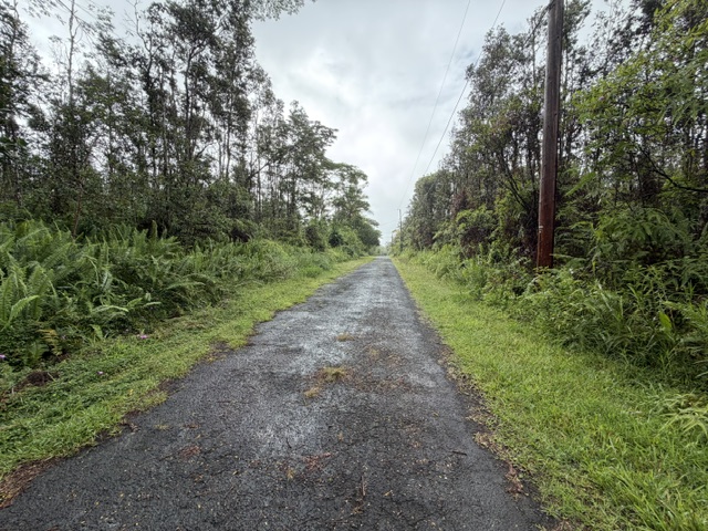 357 Puna Road Pahoa, HI 96778 - Photo 10 of 10