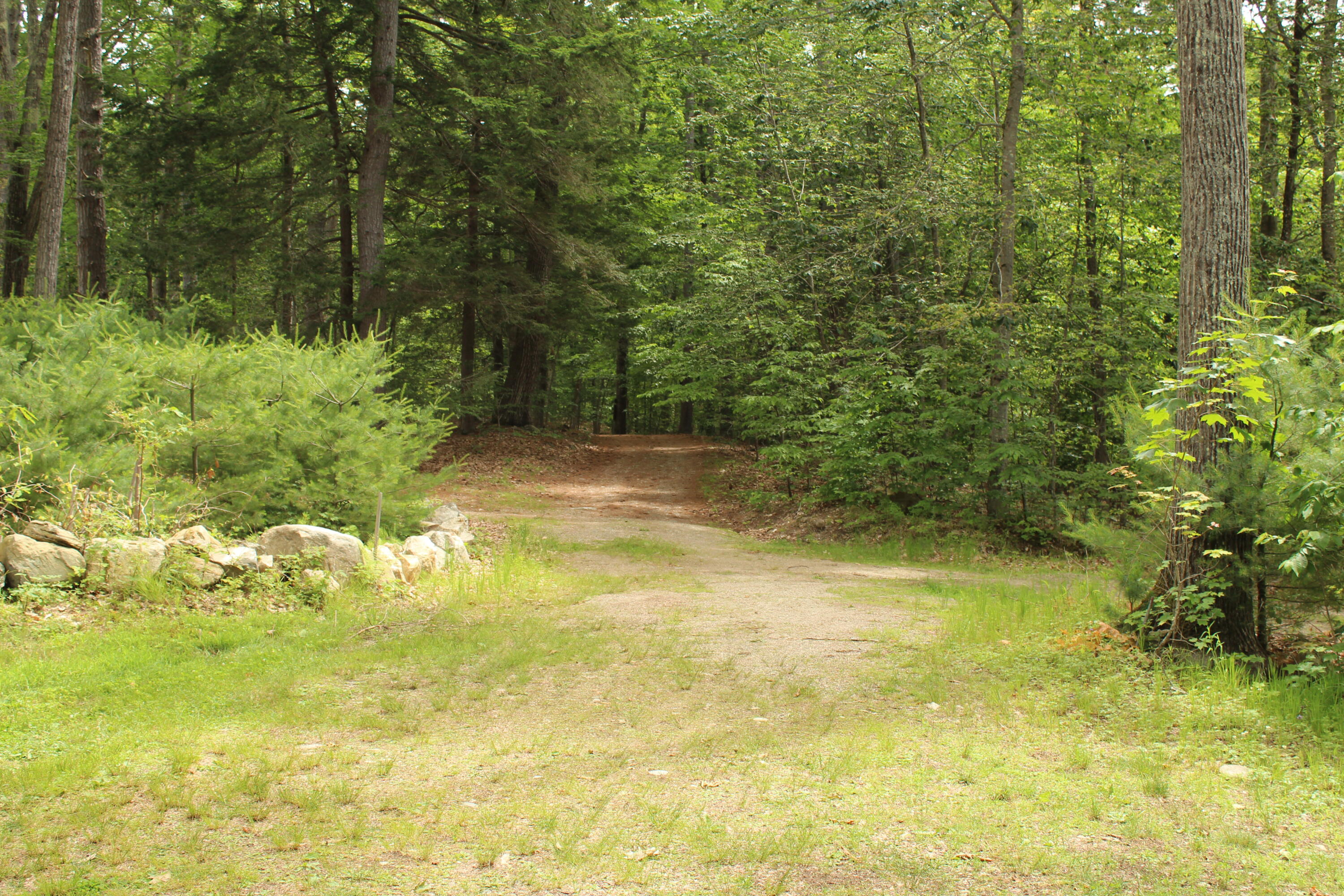 166 Wilkins Road Acton, ME 04001 - Photo 36 of 49 IMG_8111