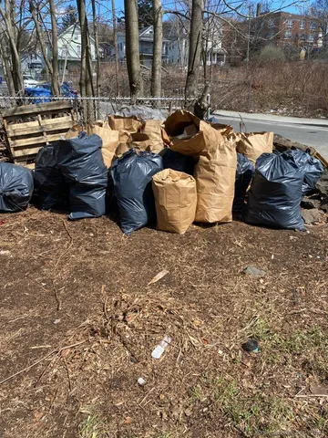 a view of a lake with couches and chairs