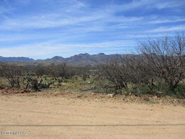 1659 Circulo Puerto, Unit 14 Rio Rico, AZ 85648 - Photo 6 of 8