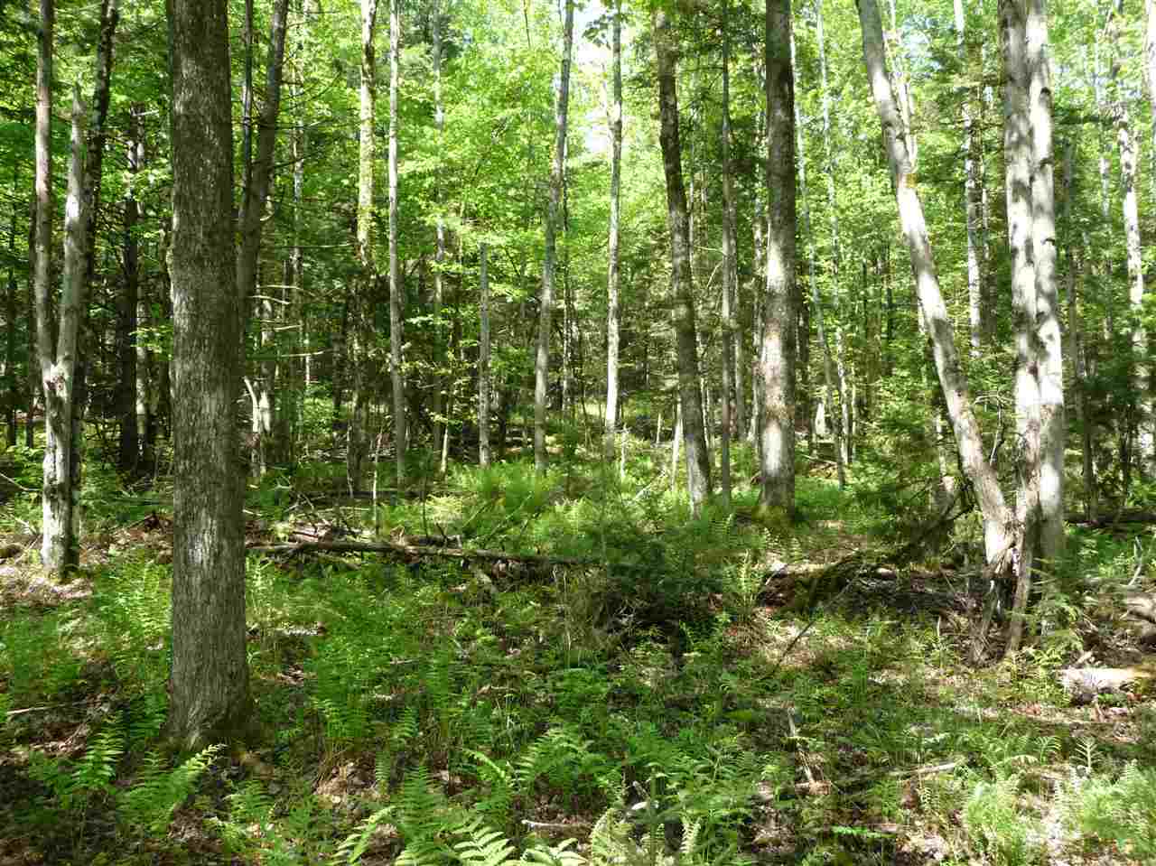 520 Bertha Springs Road, Unit 6 Waitsfield, VT 05673 - Photo 5 of 13 Gallery Image 5