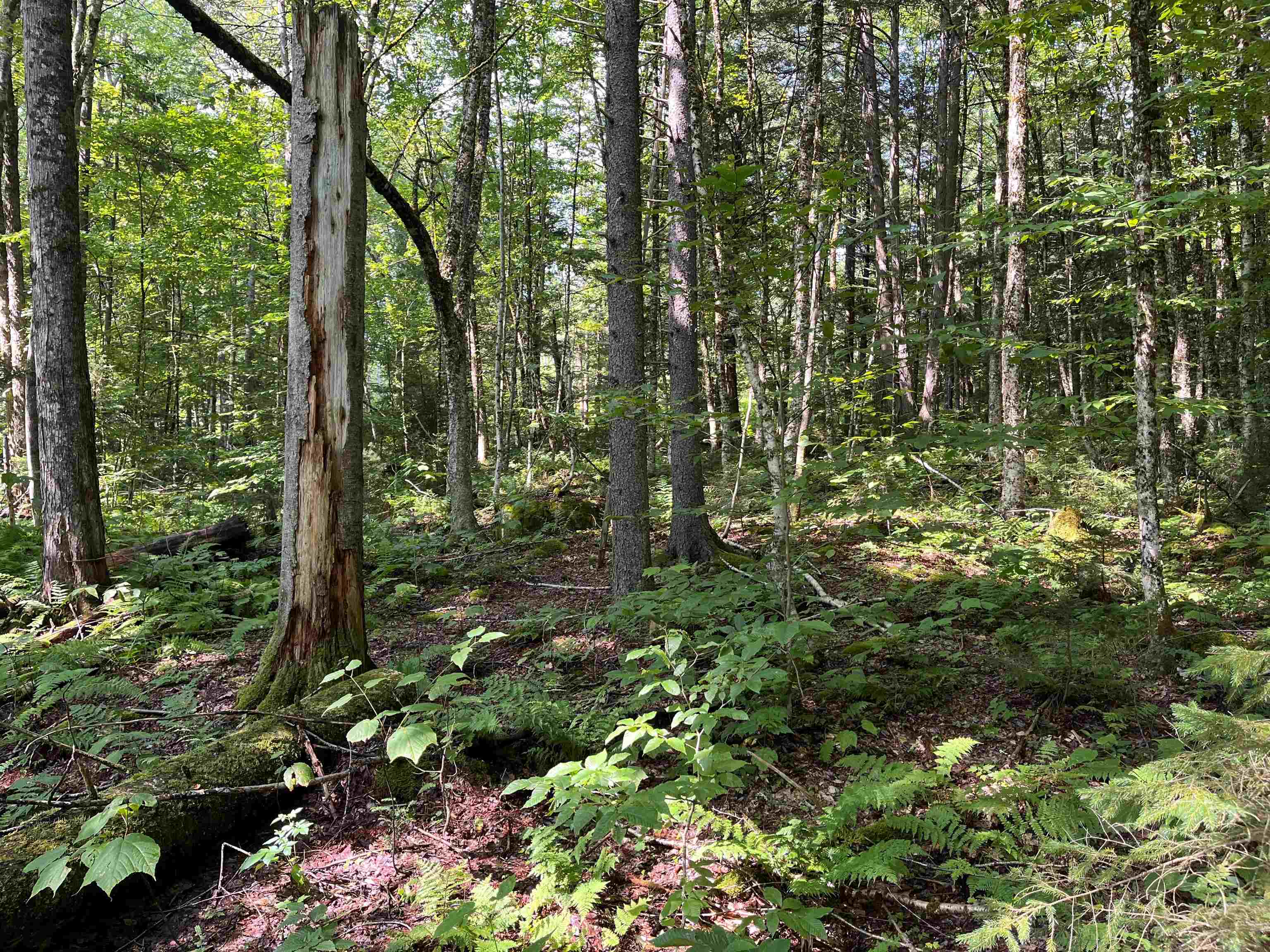 520 Bertha Springs Road, Unit 6 Waitsfield, VT 05673 - Photo 8 of 13 Gallery Image 8