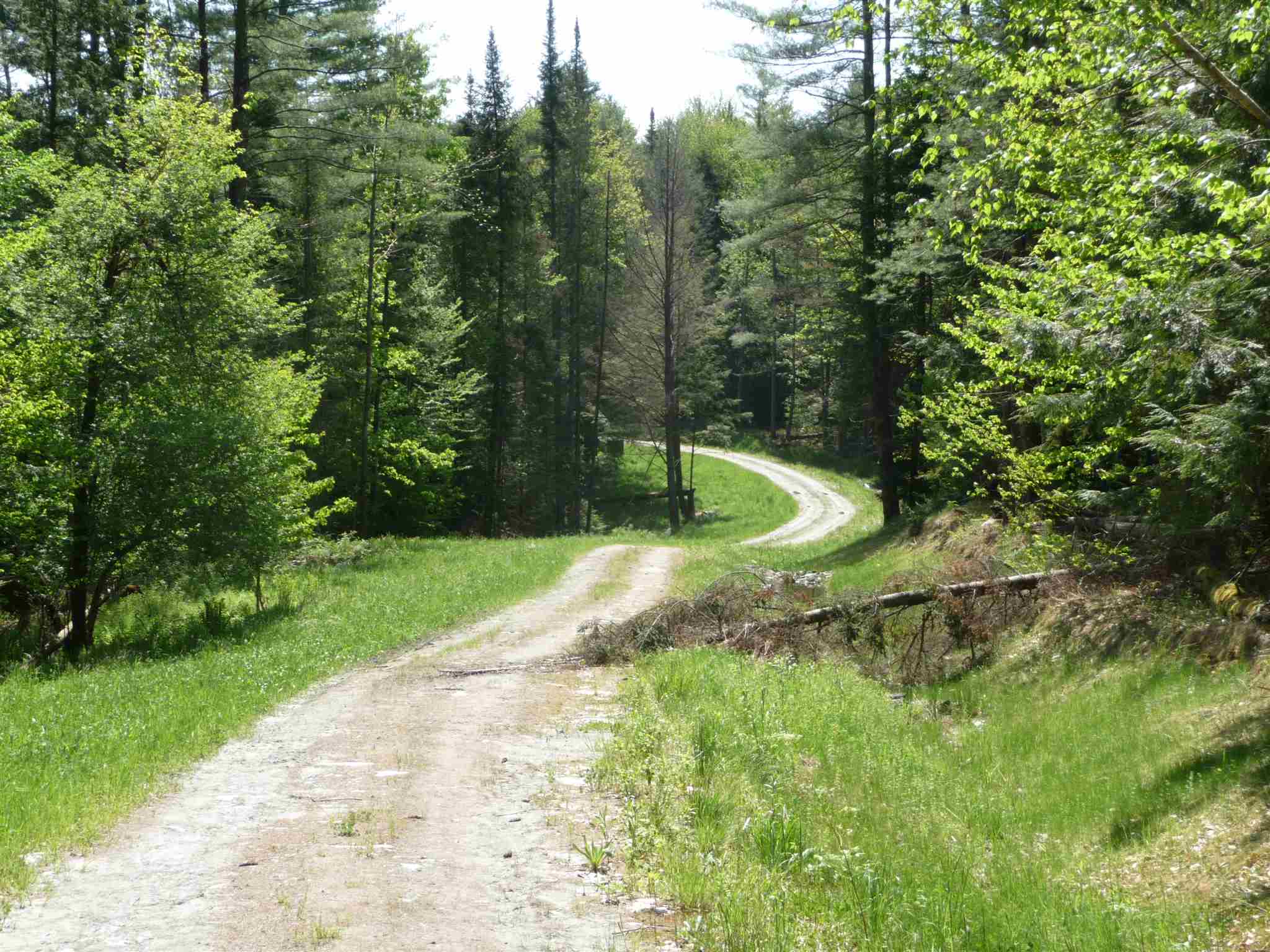 520 Bertha Springs Road, Unit 6 Waitsfield, VT 05673 - Photo 10 of 13 Gallery Image 10