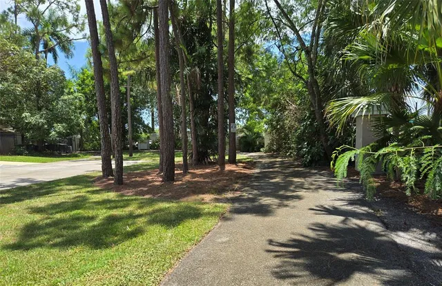 a view of a yard with plants and large trees