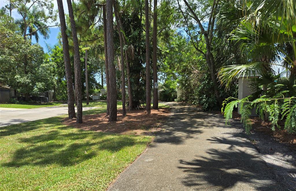 5800 Coach House Circle, Unit D Boca Raton, FL 33486 - Photo 23 of 23 a view of a yard with plants and large trees