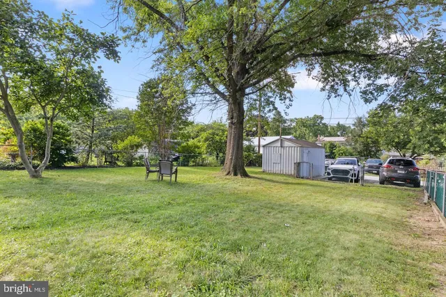 a view of a field with a tree