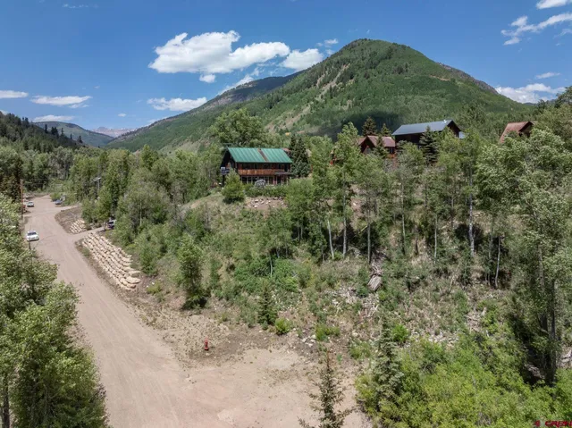 a view of a bunch of trees and bushes