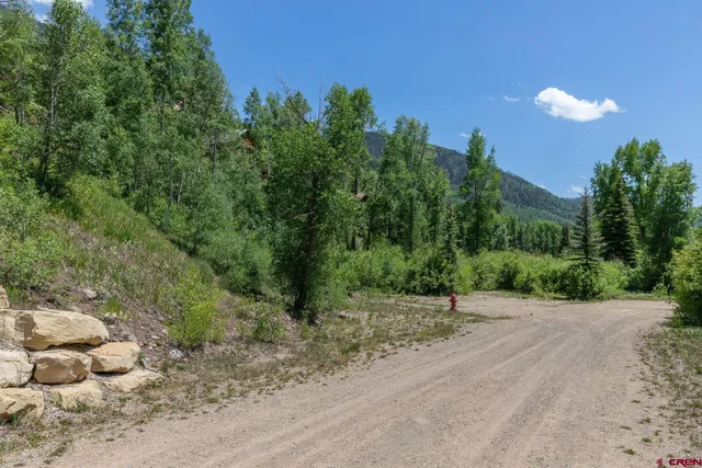 a view of a road with a trees