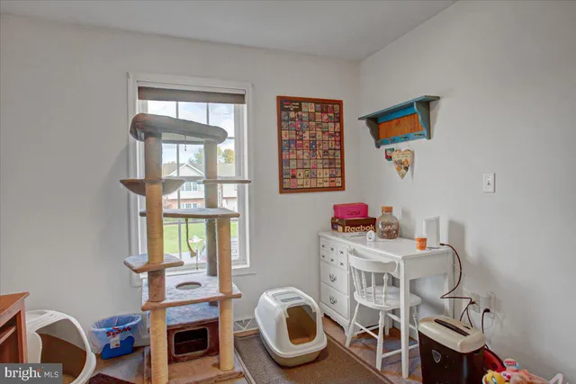 a bathroom with a shower curtain and a shower curtain