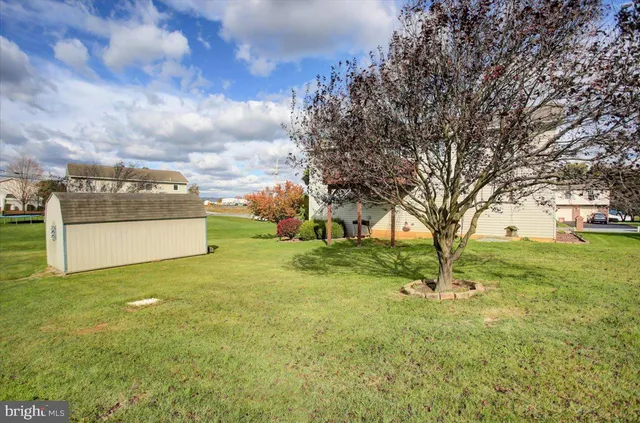 a picture of a bench in a window