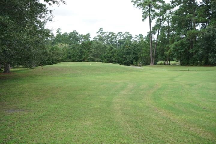 1506 Medinah Lane Murrells Inlet, SC 29576 - Photo 28 of 36 Gallery Image 28