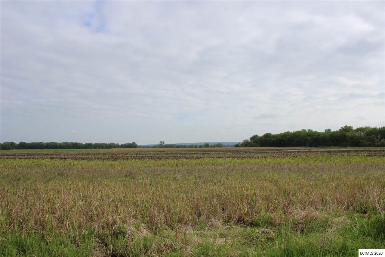 Green Island Road Miles, IA 52064 - Photo 1 of 7 Gallery Image 1