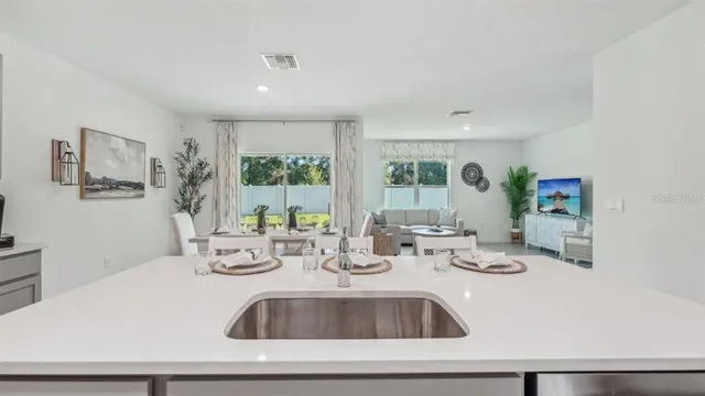 a kitchen with sink a large window and a potted plant