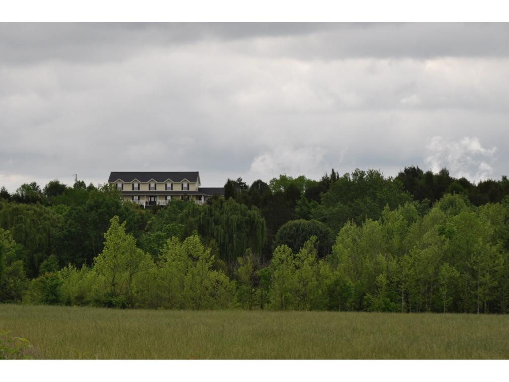 360 Weems Chapel Road Mosheim, TN 37818 - Photo 36 of 36 Photo 36