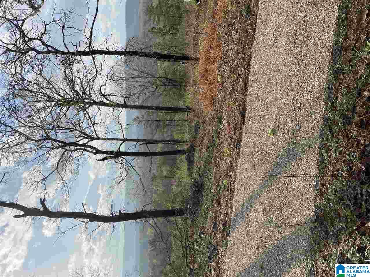 8150 Dunnavant Road, Unit 1 Leeds, AL 35094 - Photo 28 of 29