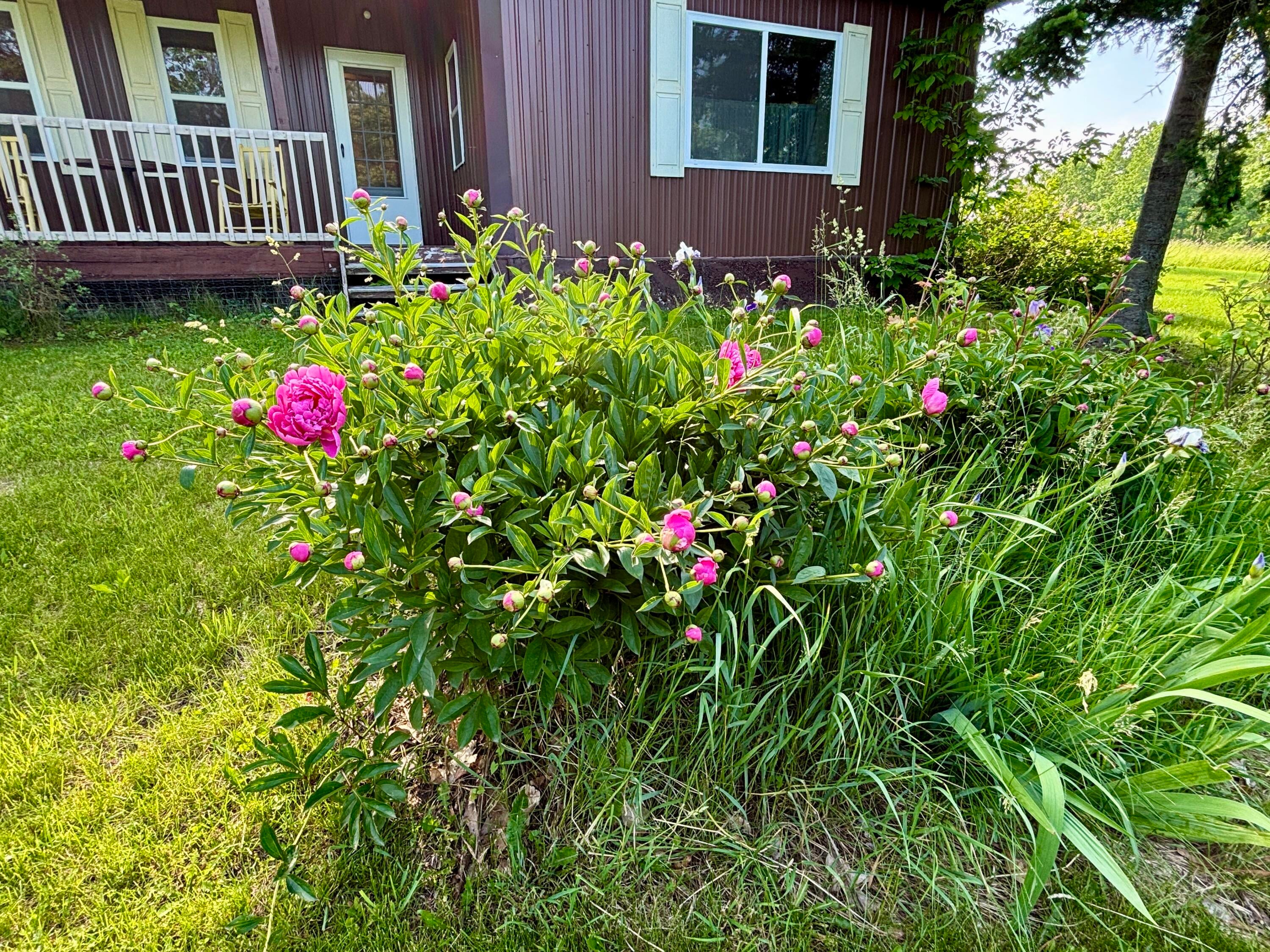 7770 Klein Road Hillman, MI 49746 - Photo 56 of 63 Gallery Image 56