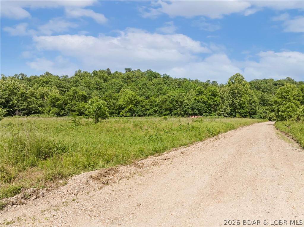 Broads Branch Road Macks Creek, MO 65786 - Photo 3 of 13 Some Wooded area