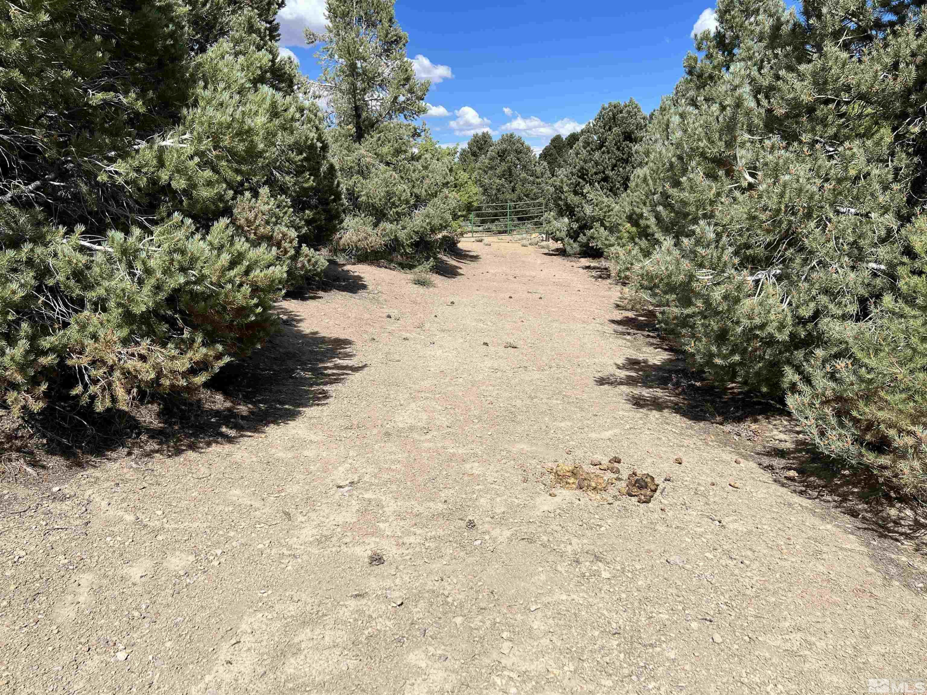 4830 Livery Road Reno, NV 89521 - Photo 3 of 4 a view of a dry yard covered with snow in the background