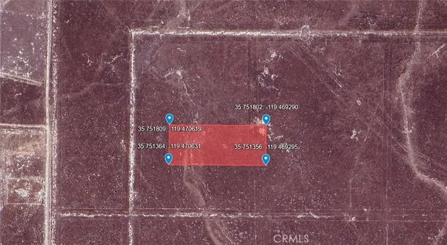 a close up of a tree