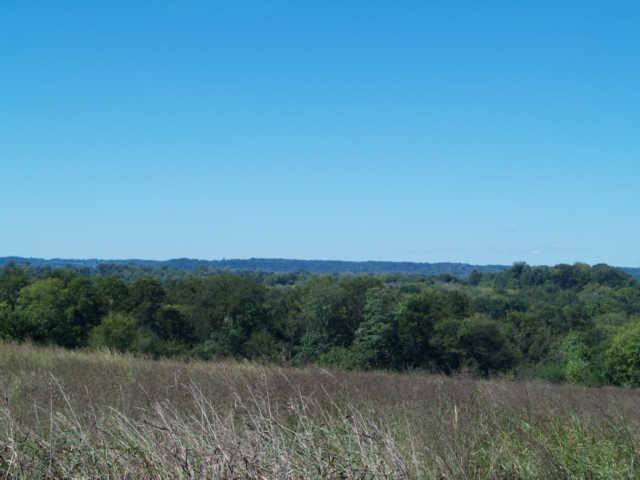 21 Old Tva Road Columbia, TN 38401 - Photo 12 of 19 Gallery Image 12