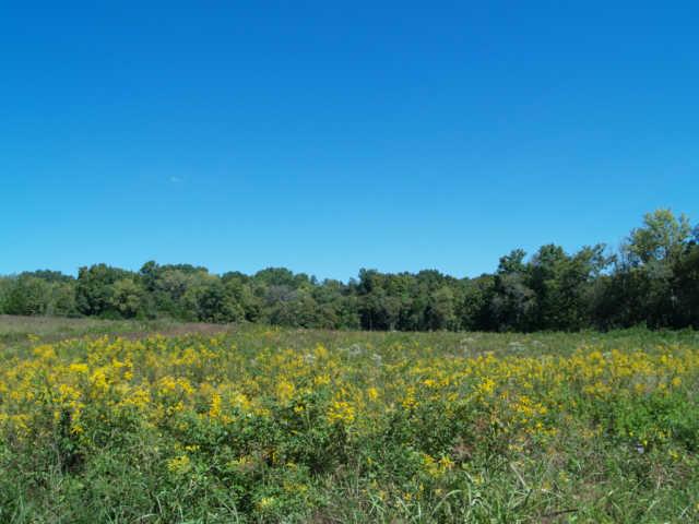 21 Old Tva Road Columbia, TN 38401 - Photo 14 of 19 Gallery Image 14