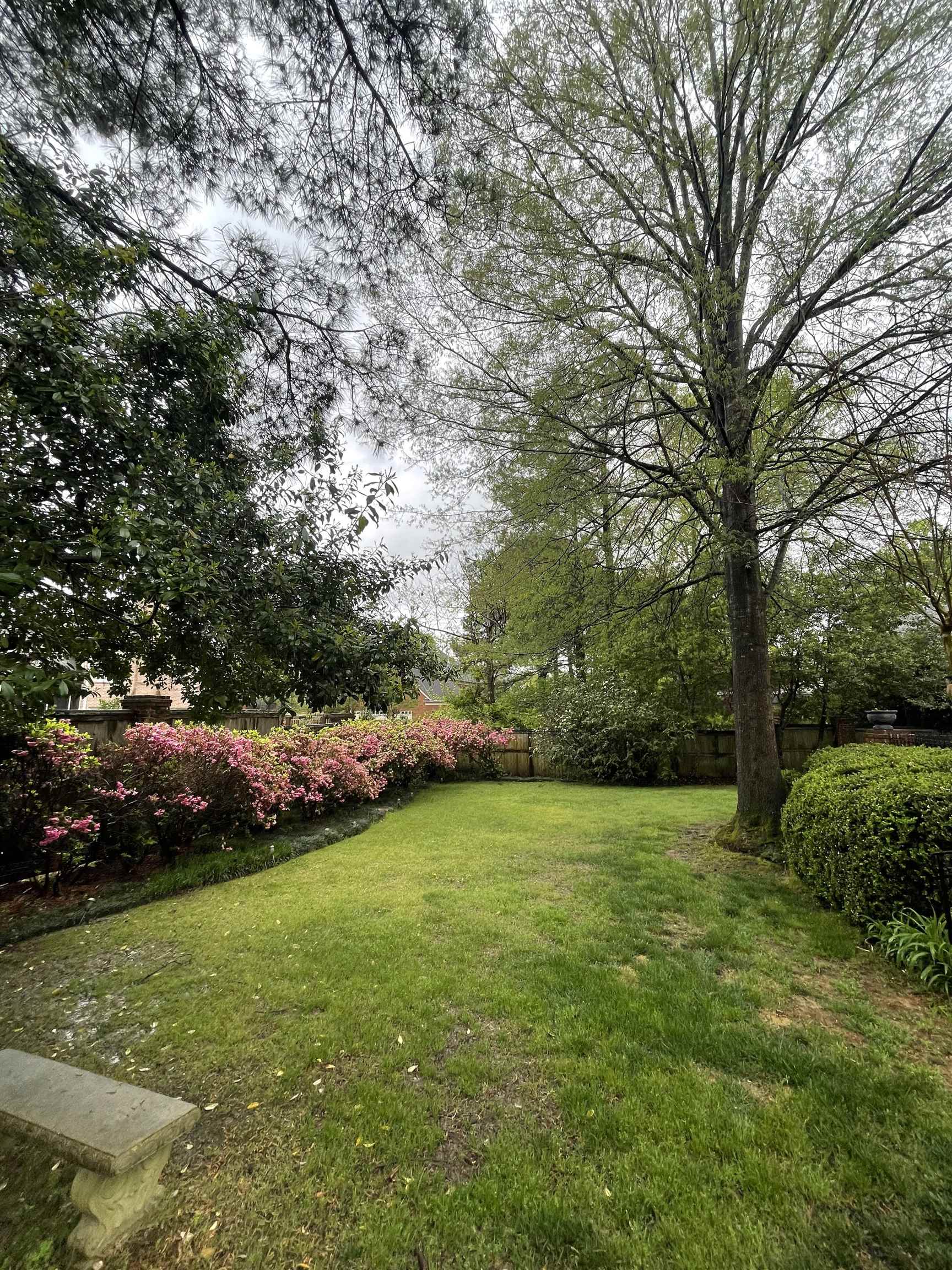 8711 Windrush Memphis, TN 38125 - Photo 12 of 40 a view of a field of grass and trees