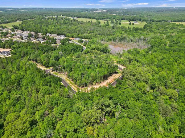 a view of a lush green forest with trees and houses