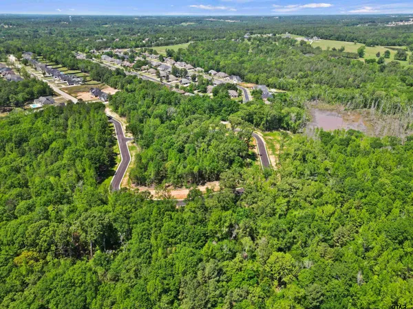 an aerial view of residential houses with outdoor space and trees
