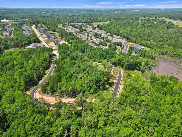 an aerial view of residential houses with outdoor space and trees