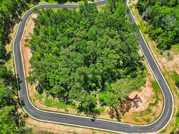 a view of a yard with a garden