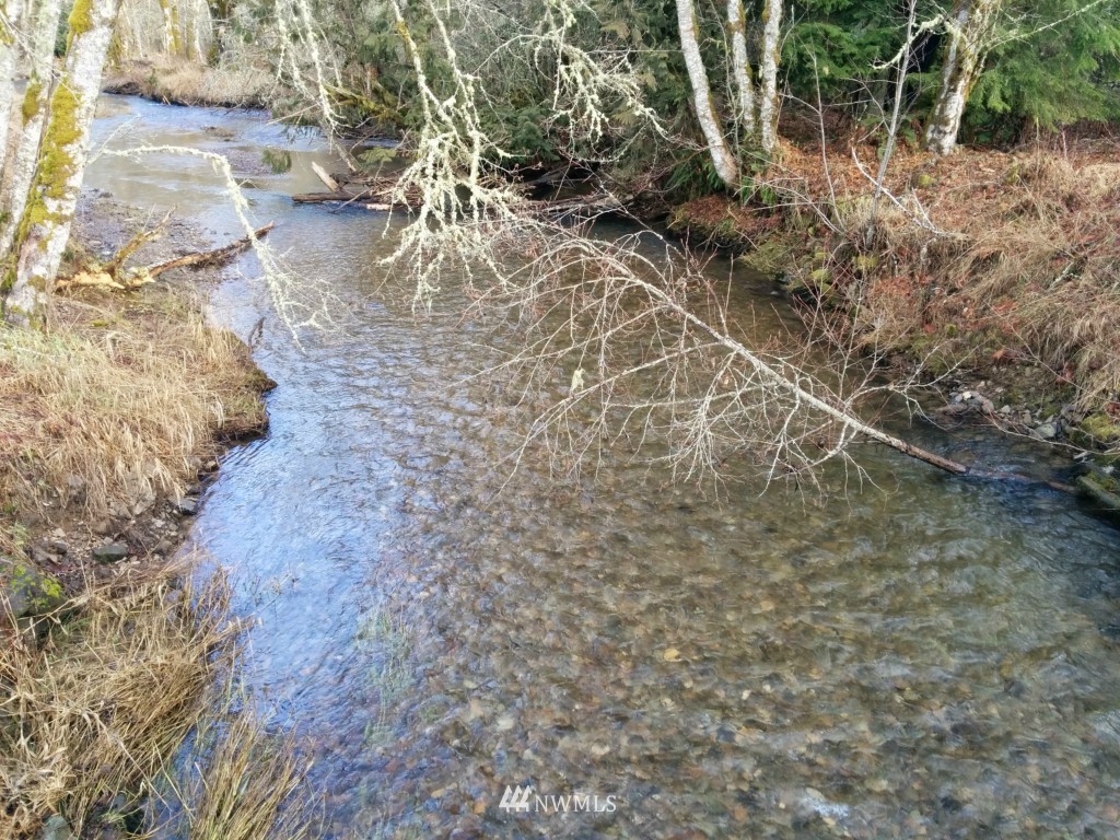 102 Round Top Road Mineral, WA 98355 - Photo 2 of 16