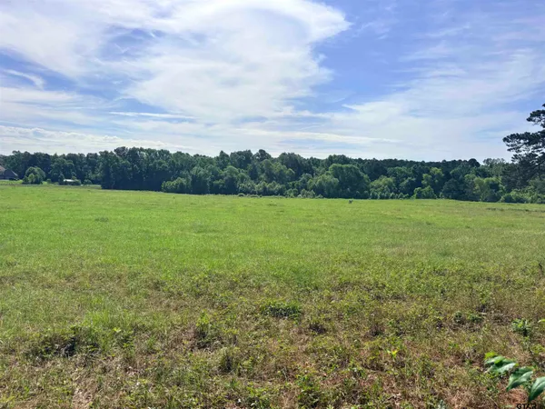 a view of a field with an ocean
