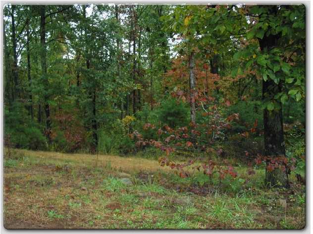 7903 Selcer Road Hixson, TN 37343 - Photo 3 of 9 Additional Photo