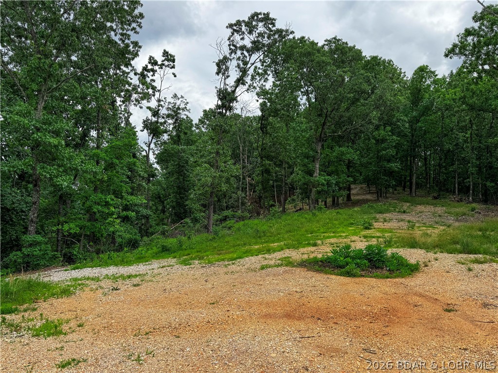 416 Coelleda School Road Roach, MO 65787 - Photo 10 of 20