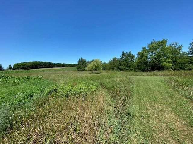 5254 Miller Road Buckley, MI 49620 - Photo 47 of 79 1890710-46.JPG