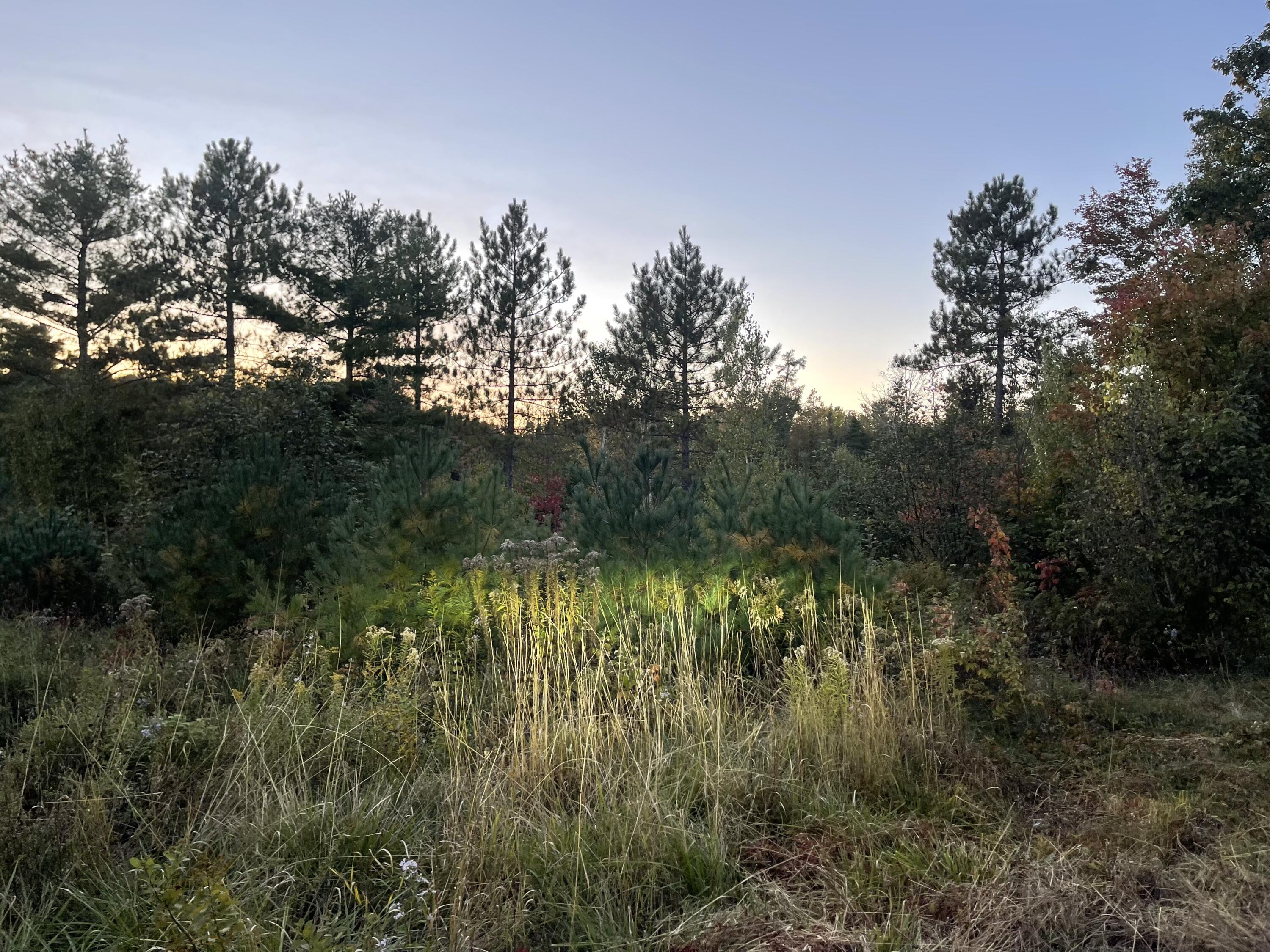 0 Foster Road Ellsworth, ME 04605 - Photo 1 of 9 5F257D74-EFC2-4E5D-8DCA-F690CA190441