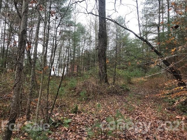 0 Hebron Road Hendersonville, NC 28739 - Photo 11 of 28 a view of a forest with trees