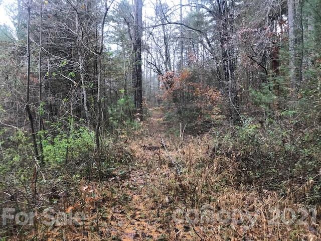 0 Hebron Road Hendersonville, NC 28739 - Photo 12 of 28 a view of a forest with trees