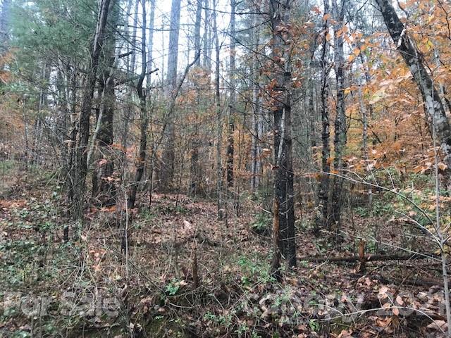 0 Hebron Road Hendersonville, NC 28739 - Photo 13 of 28 a view of a yard with lots of trees